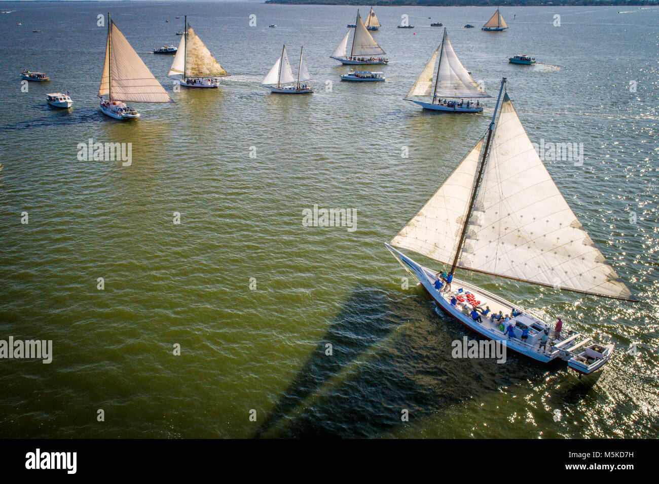 Vista aerea di mostrare a tutti il possente vele di un gruppo di palamite tradizionali barche pronte per competere nella trattativa annuale isola palamite gare, D Foto Stock