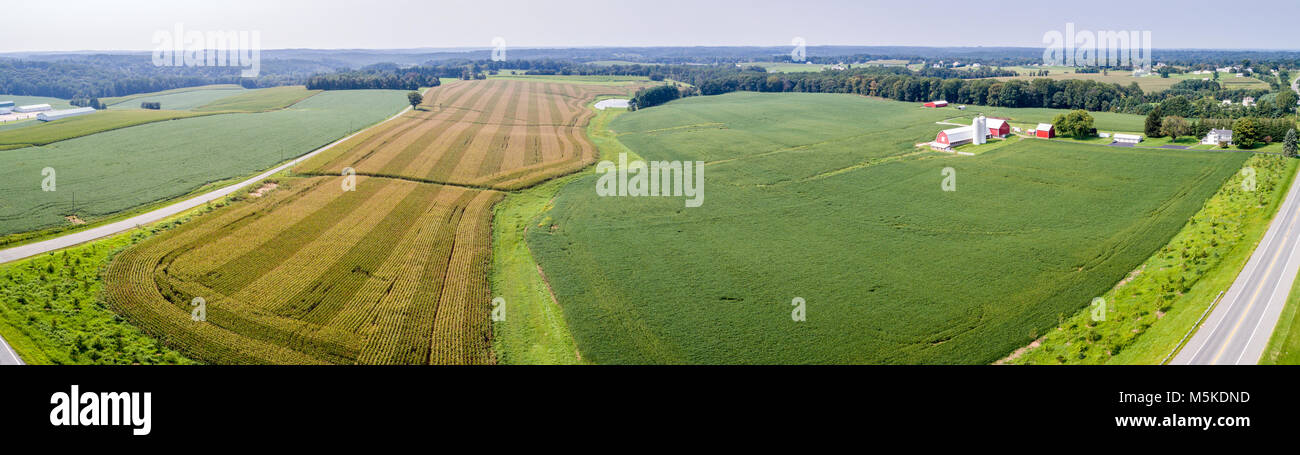 Ampio angolo di visione del grano idilliaca fattoria con granaio rosso in estate Fallston, Maryland. Foto Stock