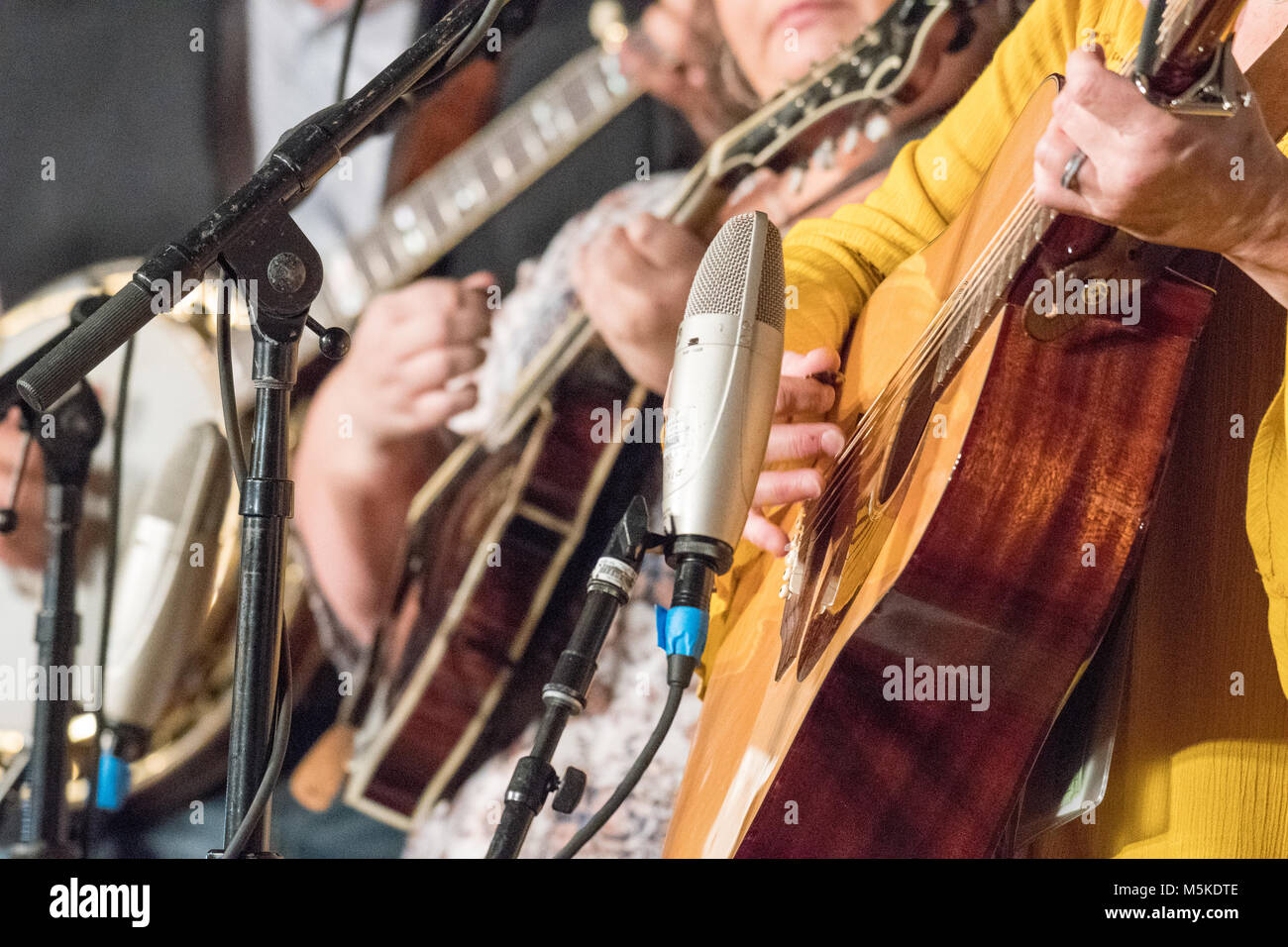 Gruppo di musicisti che suonano chitarre acustiche ed altri strumenti a corda sul palco, Greensboro, Nord Carolina. Foto Stock