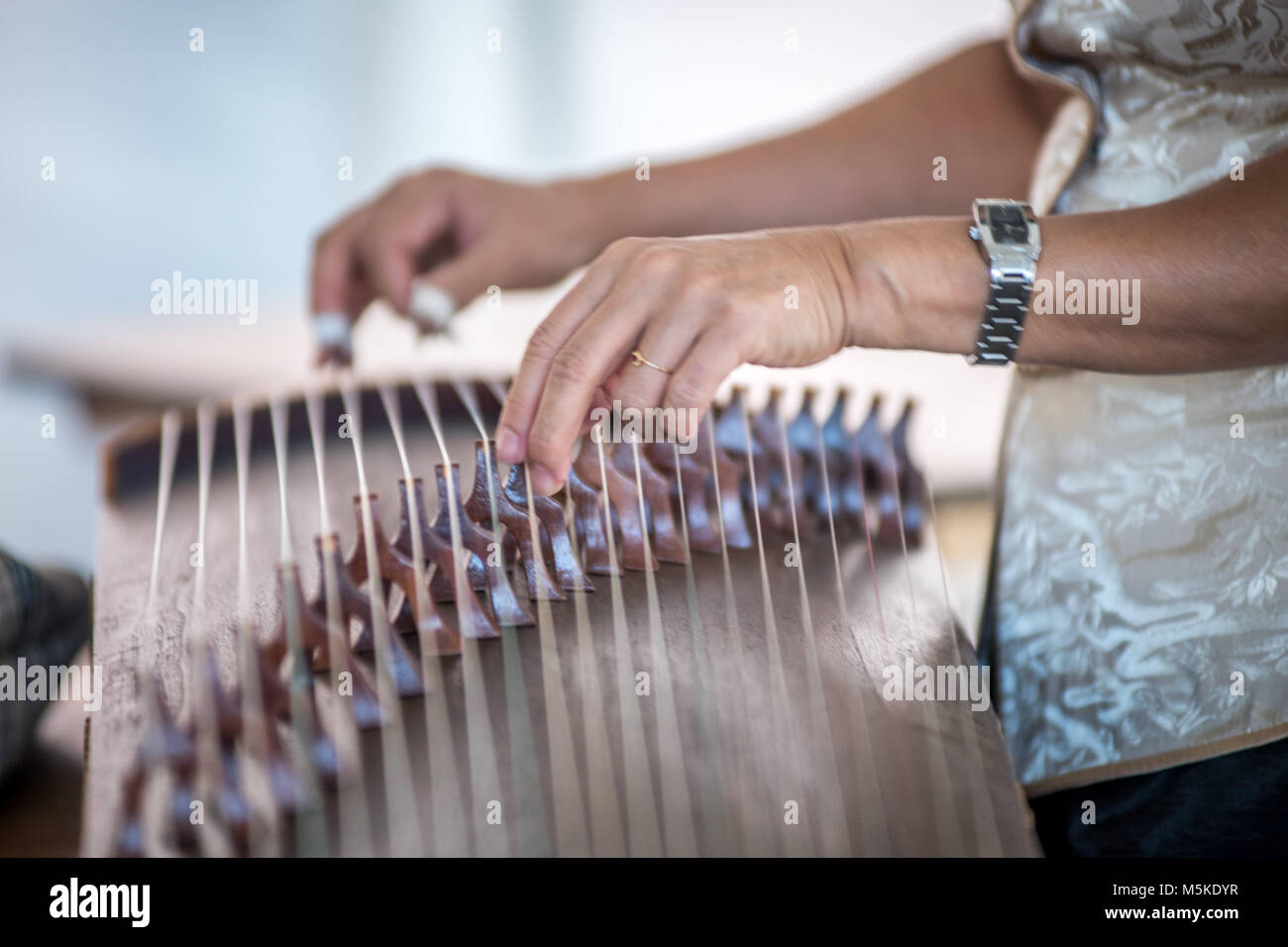 Analisi dettagliata della donna spiumatura stringhe di storicamente ricca strumento il guzheng, Greensboro, Nord Carolina. Foto Stock