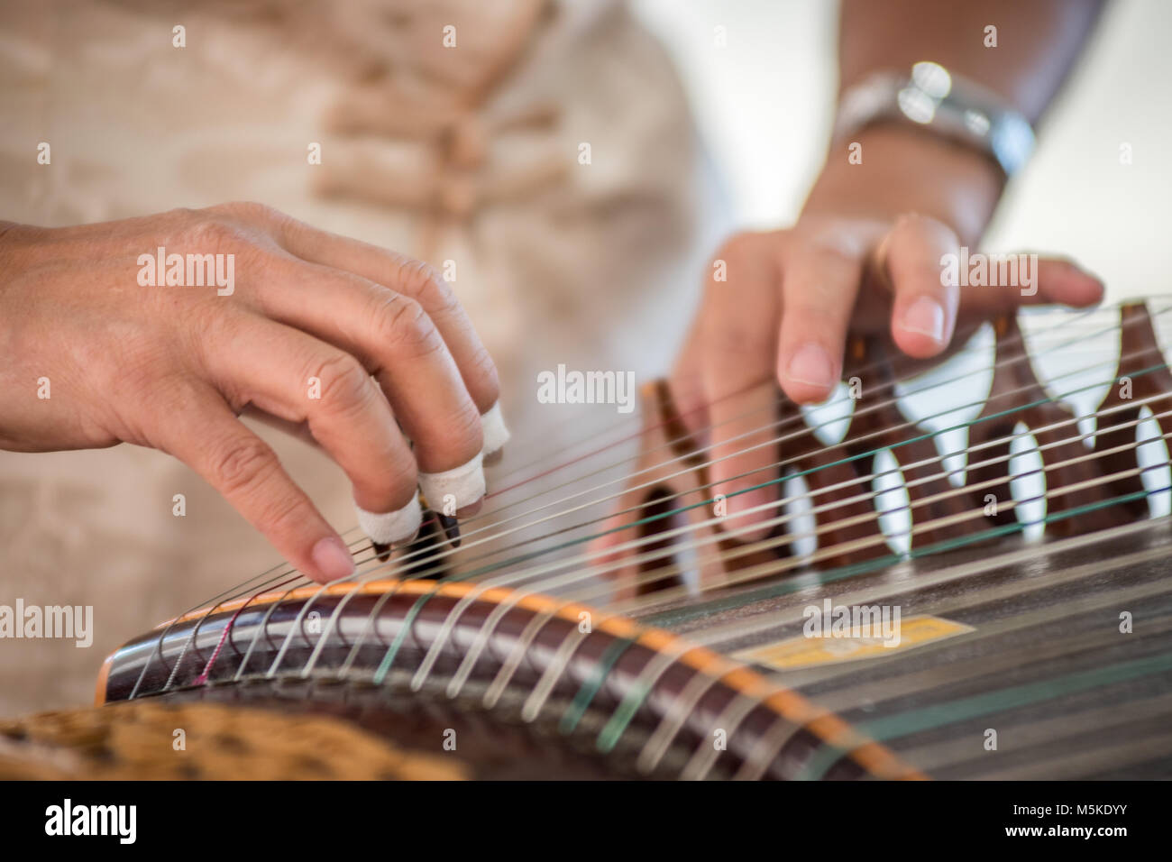 Analisi dettagliata della donna spiumatura stringhe di storicamente ricca strumento il guzheng, Greensboro, Nord Carolina. Foto Stock