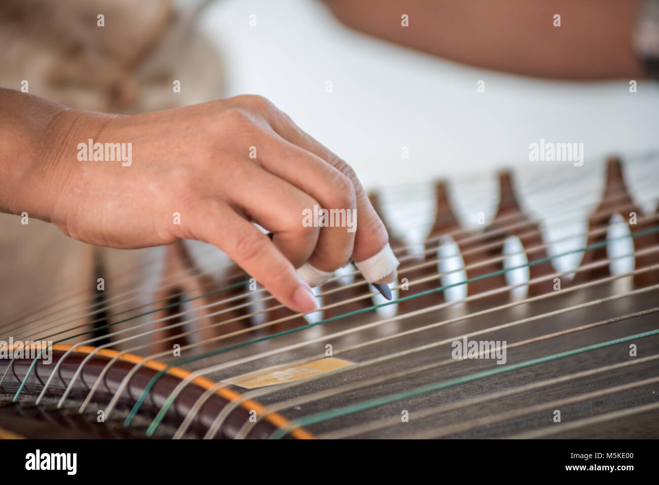 Analisi dettagliata della donna spiumatura stringhe di storicamente ricca strumento il guzheng, Greensboro, Nord Carolina. Foto Stock