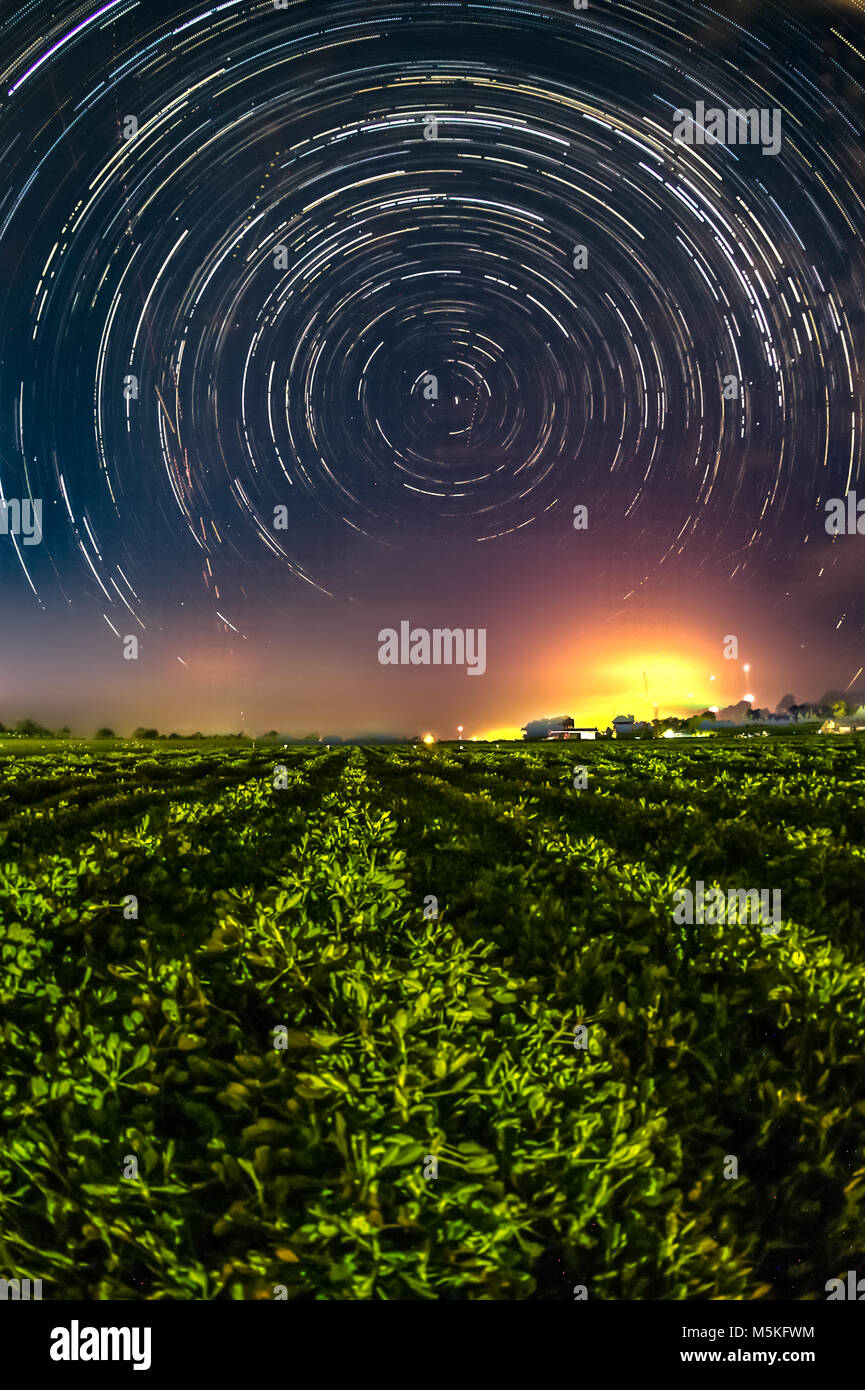Una lunga esposizione delle tracce stellari nella notte cieli sopra di arachidi campo vegetale, Tifton, Georgia. Foto Stock