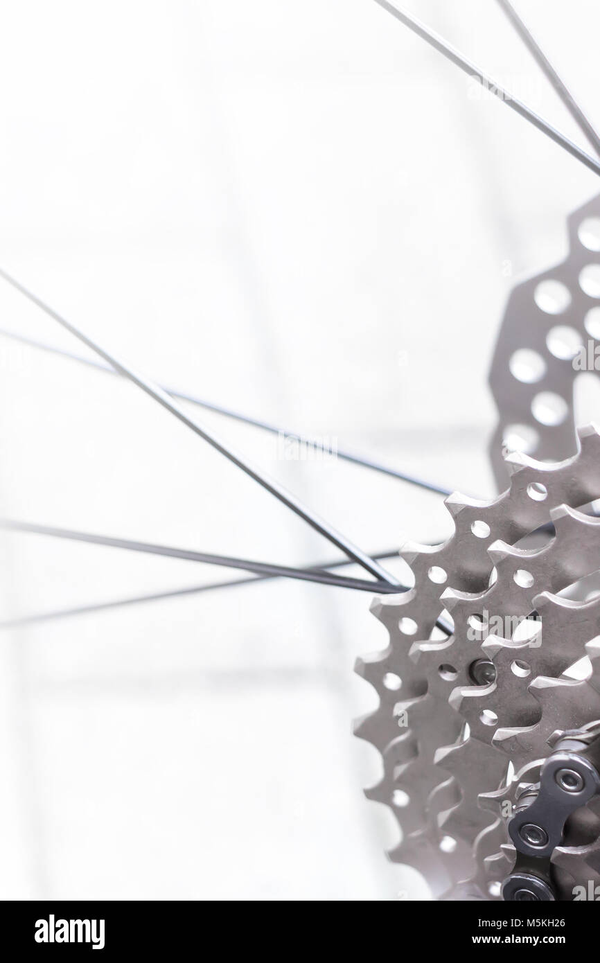 Ruota e ingranaggio per mountain bike con una nuova catena pulita e anelli in metallo. Foto Stock