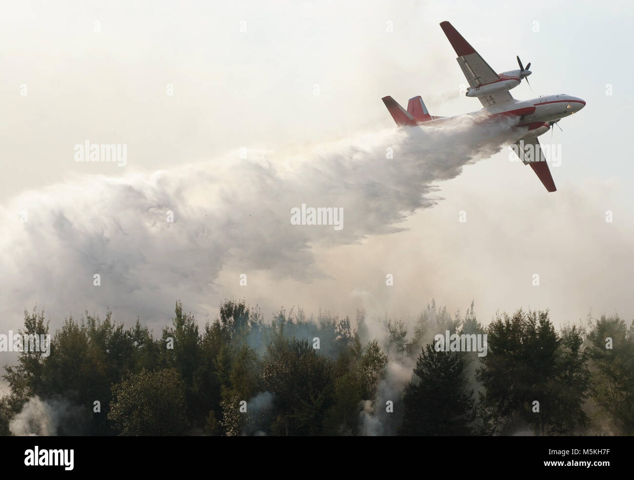 Piano gocce di acqua su un incendio di boschi Foto Stock