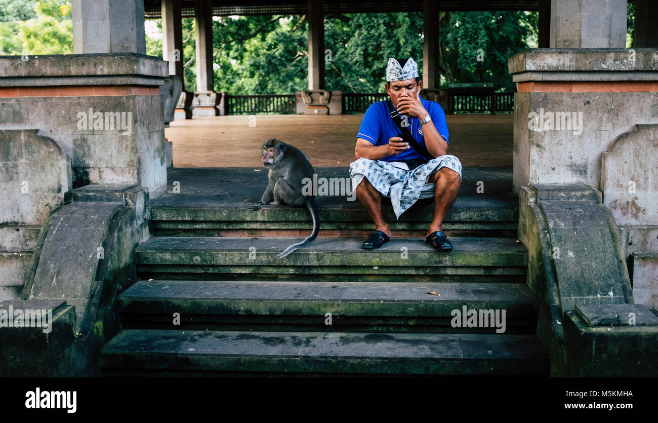Un uomo si siede per controllare il suo telefono accanto a una scimmia in Bali, Indonesia Foto Stock