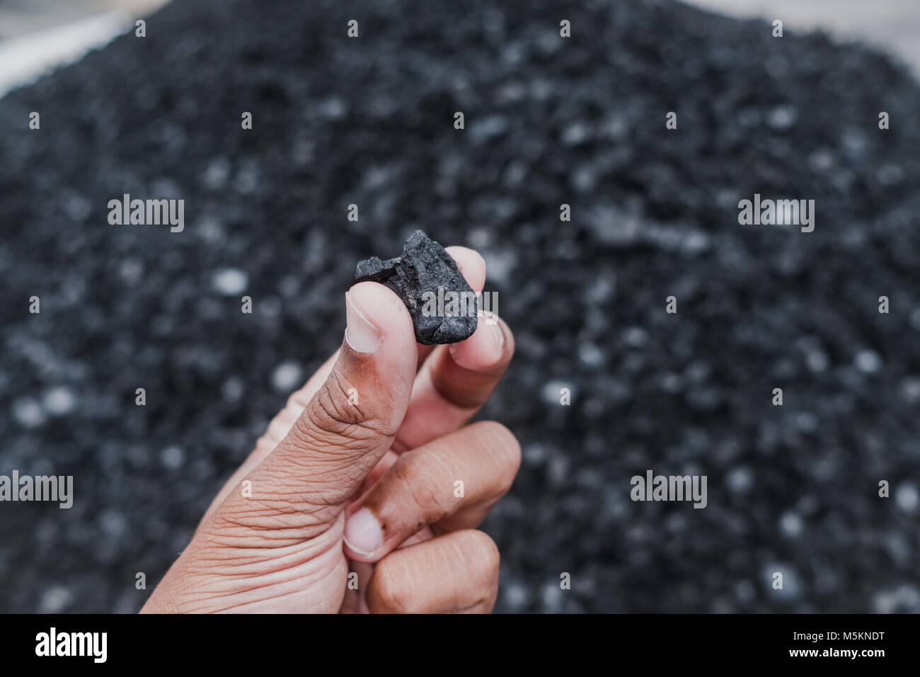 Tenendo in mano un pezzo di carbone al Jack Daniels Distillery, Lynchburg, Tennessee, America del Nord Foto Stock