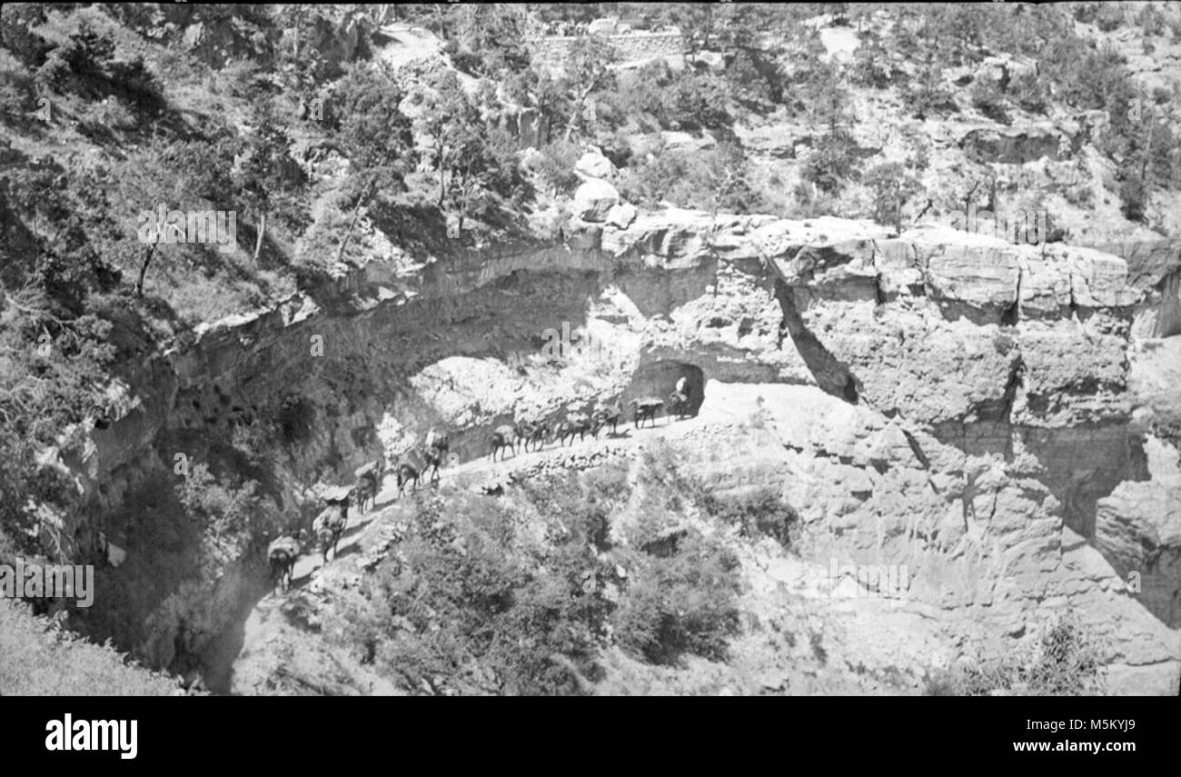 Grand Canyon storica Bright Angel Trail . PACK portante del treno ingranaggi di salvataggio per il tentativo di salvataggio dell'esercito perso volantini. Foto Stock