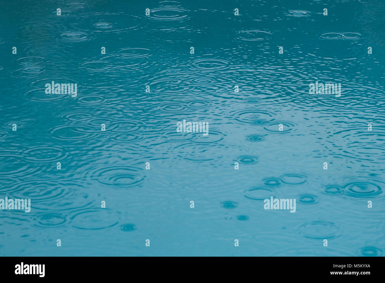 Le gocce di pioggia rendendo i cerchi in piscina Foto Stock