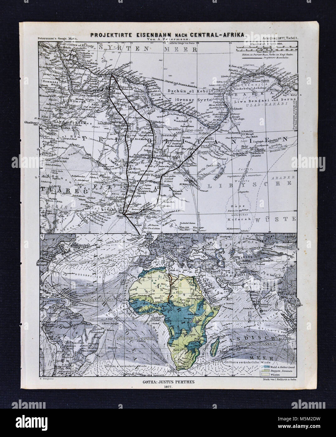 1877 Petermann Mittheilungen mappa - Africa fisico e proiettata percorsi ferroviari Foto Stock