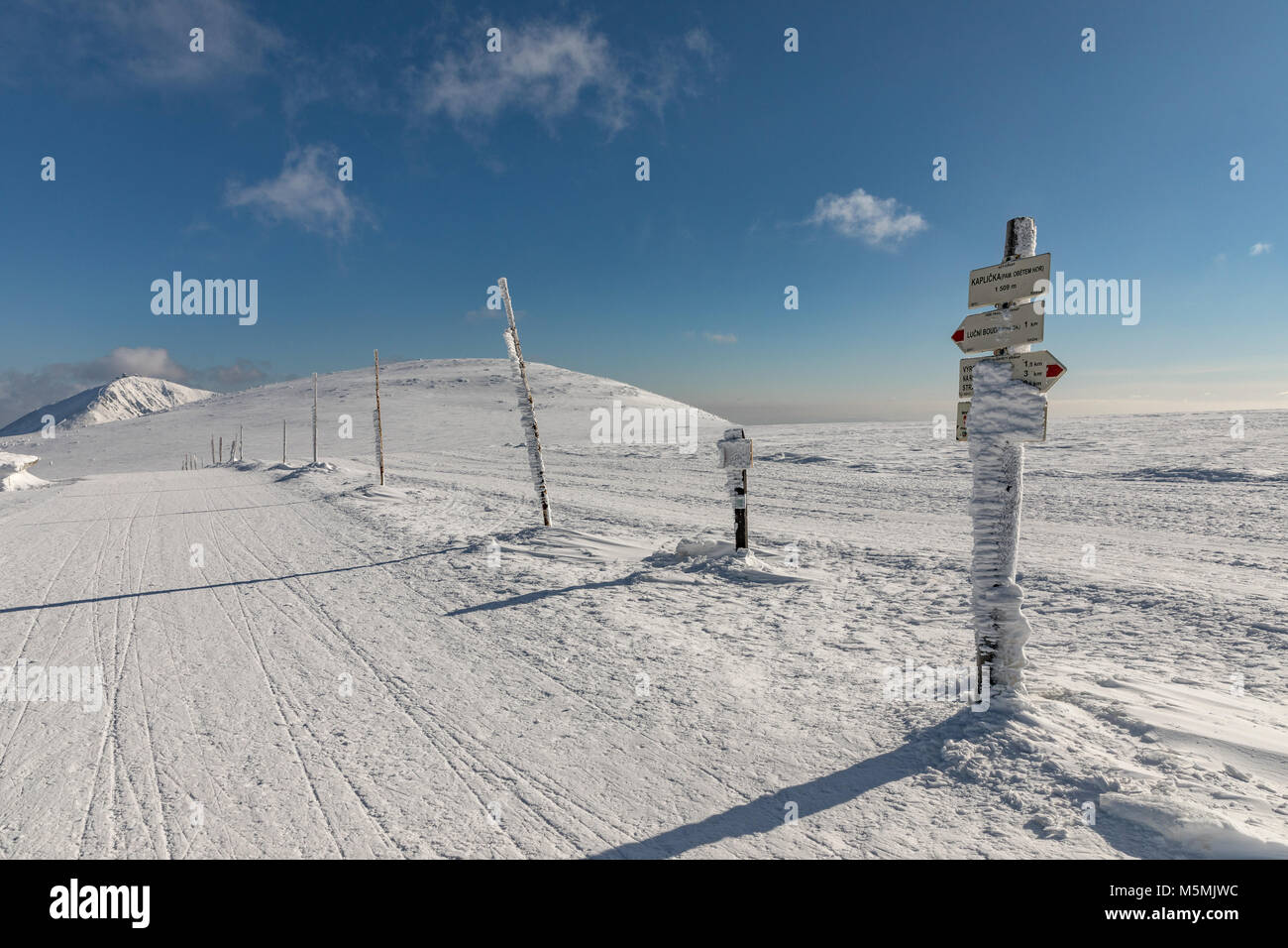 Viaggio lungo le montagne di Krkonose verso Snezka. In inverno le creste delle montagne di Krkonose, sullo sfondo del monte Snezka, la montagna più alta Foto Stock