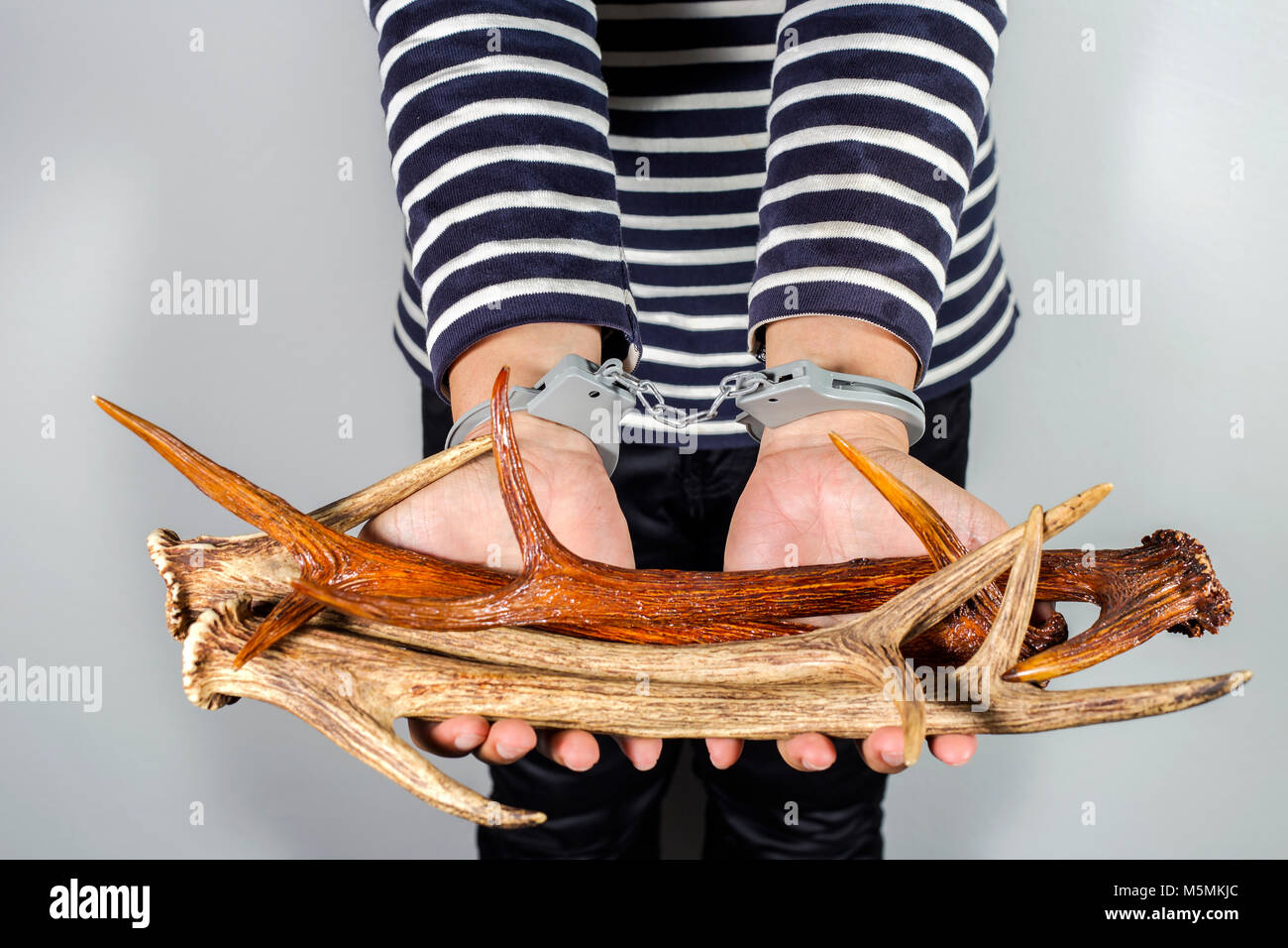 Avvisatore acustico e grillo.Concetto di atti criminali e il traffico illegale di commercio di specie selvatiche. Foto Stock