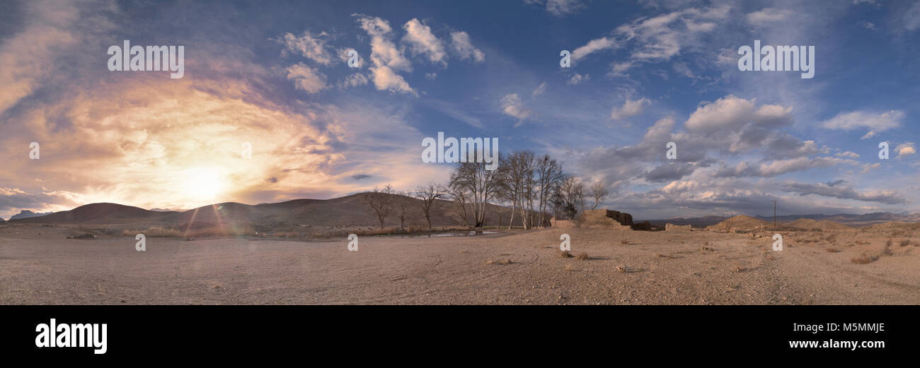 Tramonto panoramico e alberi Foto Stock