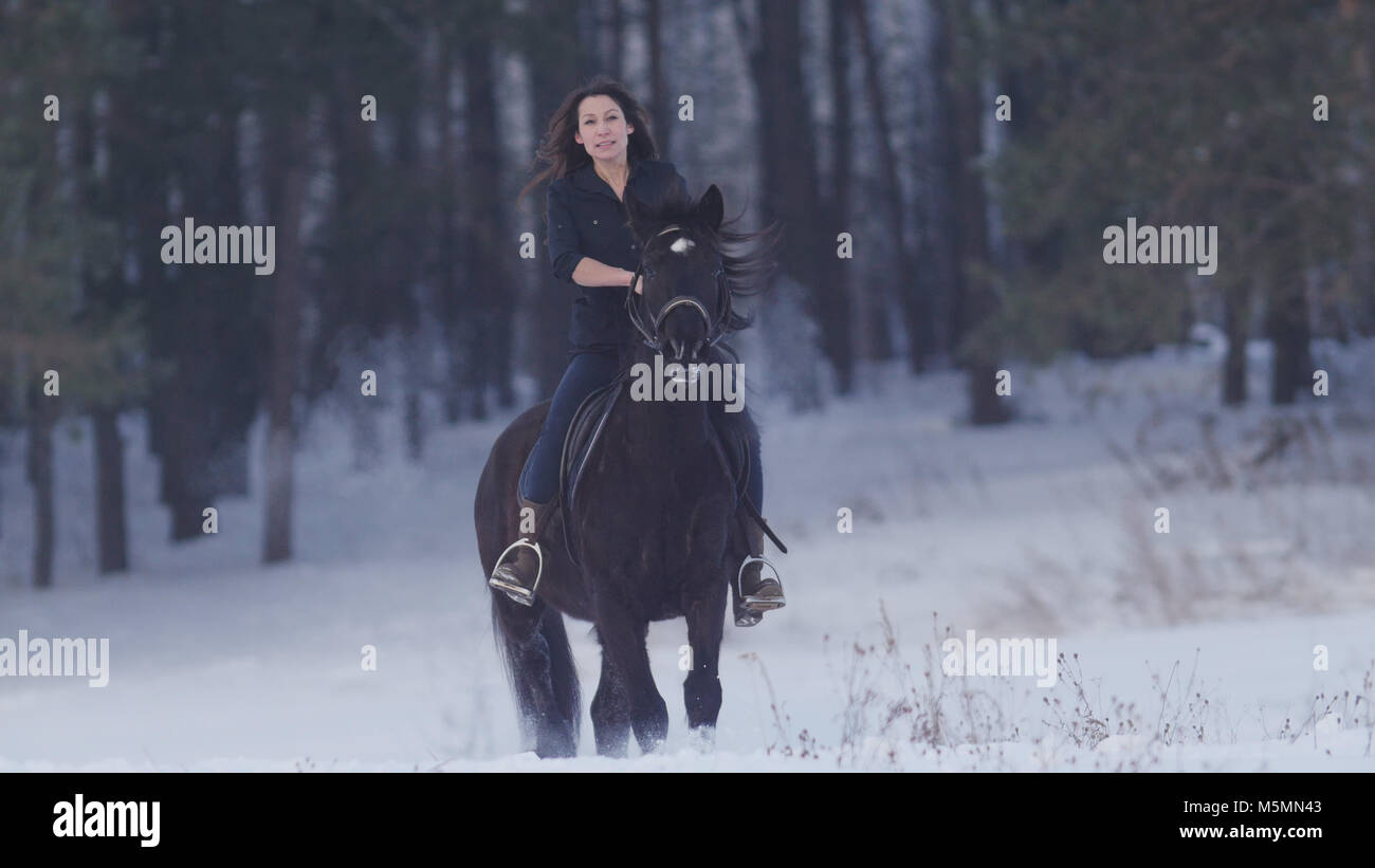 Attraente femmina longhaired cavaliere in sella ad un cavallo nero attraverso le derive nel campo invernale Foto Stock Attraente femmina longhaired cavaliere in sella ad un cavallo nero attraverso le derive nel campo invernale Foto Stock