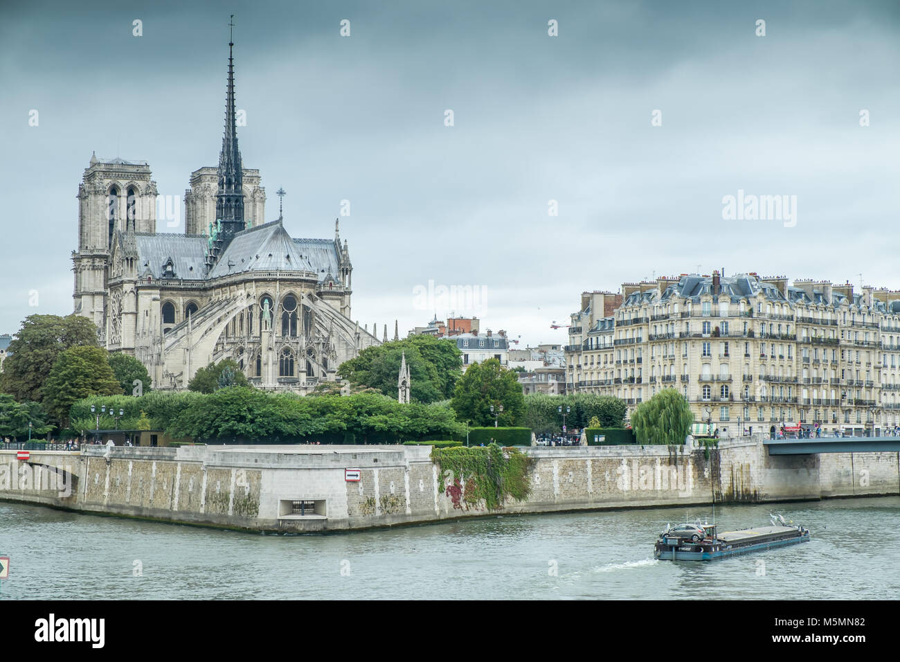 La cattedrale di Notre Dame, Paris, Francia Foto Stock