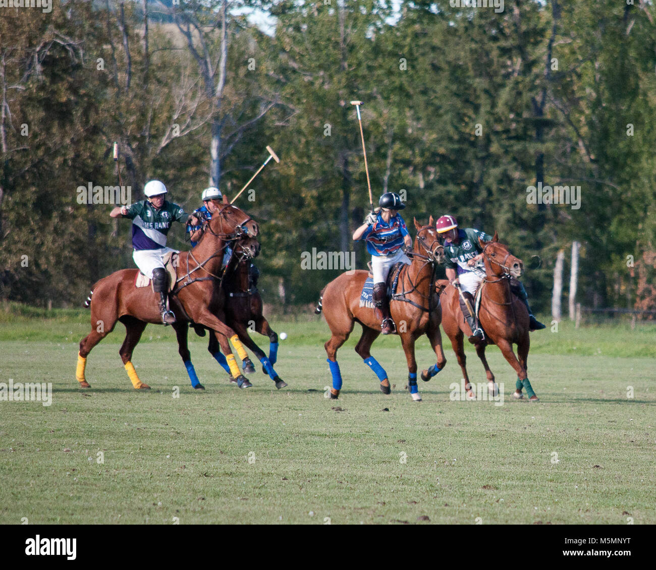 Amateur giocatori di Polo in tornei in Diamante Nero Polo Club, 3 settembre e 4th, 2011 Foto Stock