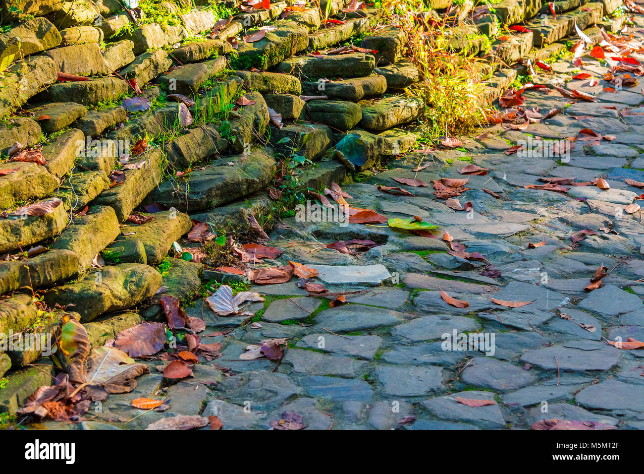 Una muratura in pietra vicino al marciapiede e foglie secche giacente su di esso closeup nella soleggiata giornata autunnale Foto Stock