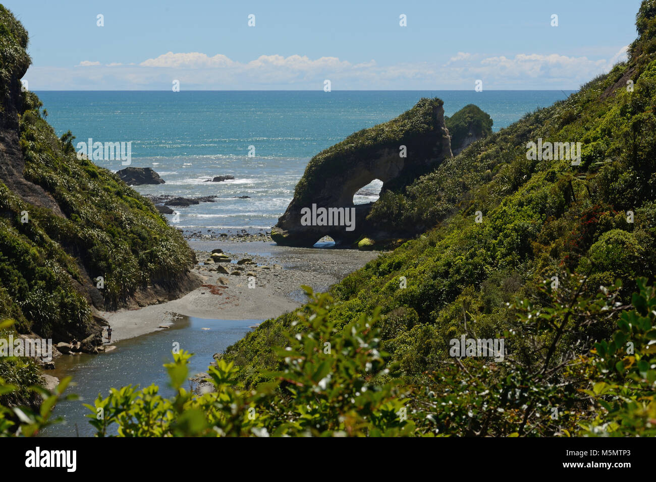 La macchia nativa frame con una spiaggia a bassa marea su un West Coast Beach, Isola del Sud, Nuova Zelanda Foto Stock