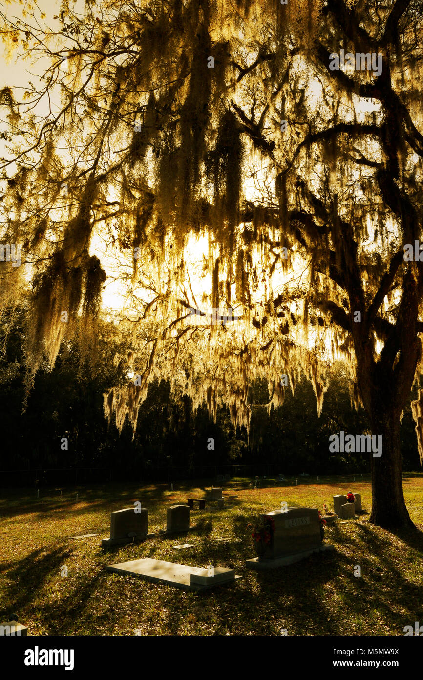 Storico di livello rosso cimitero in Florida Foto Stock