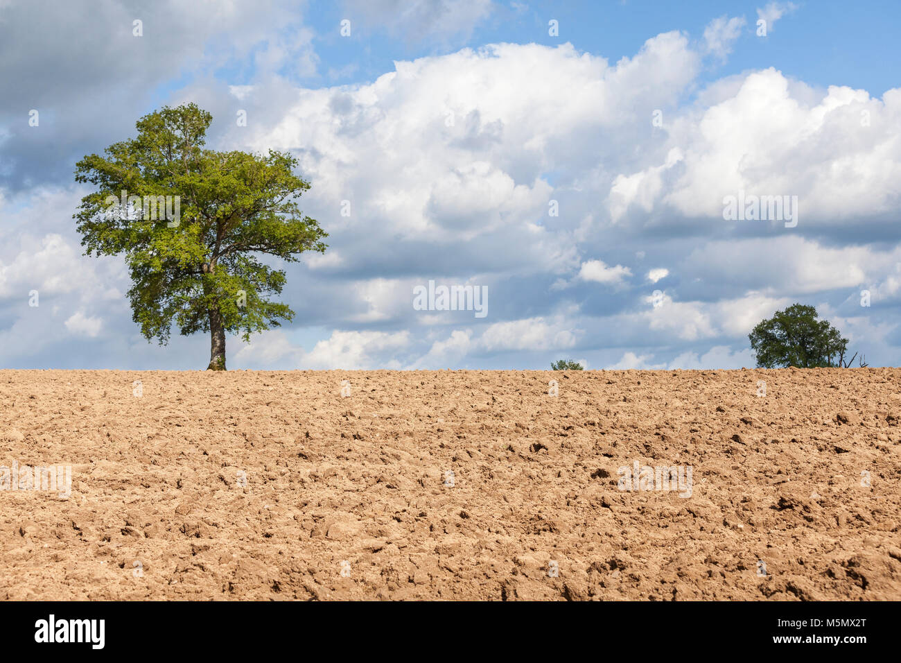 Arato di fresco delle zolle di terra in un maggese overwintered campo di fattoria in primavera pronti per la semina del raccolto primaverile con uno sfondo od storm cloud Foto Stock
