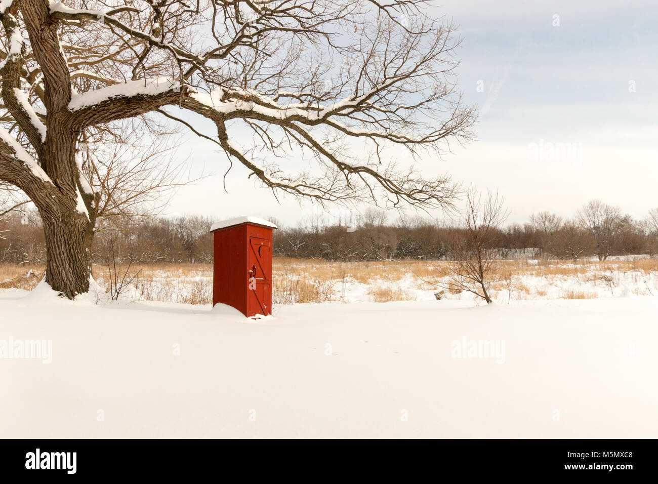 Paese paesaggio invernale di un colore rosso brillante dipendenza in un campo nevoso sotto una sterile quercia Foto Stock