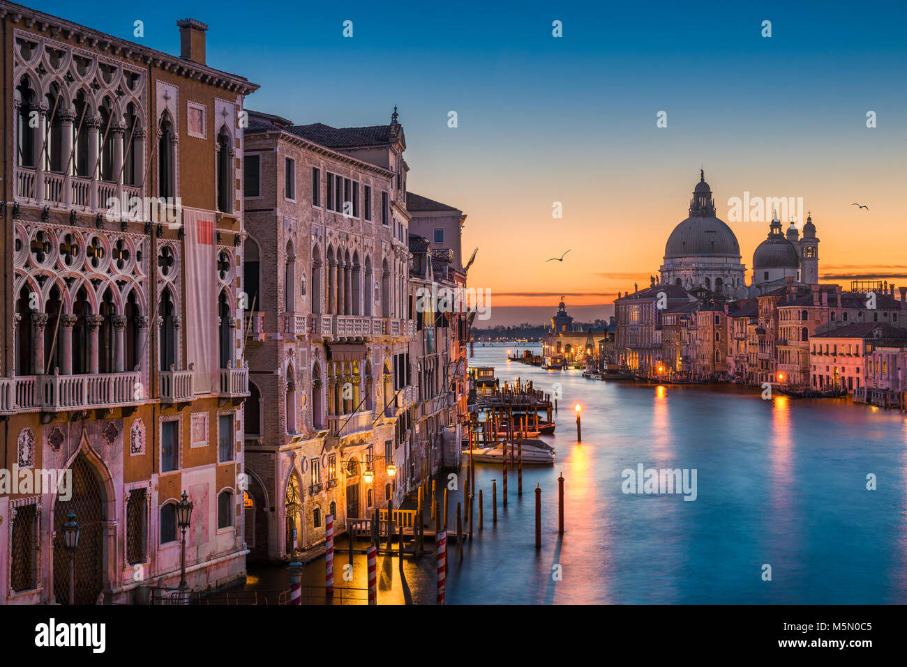 Canal Grande di notte con la Basilica di Santa Maria della Salute, Venezia, Italia Foto Stock
