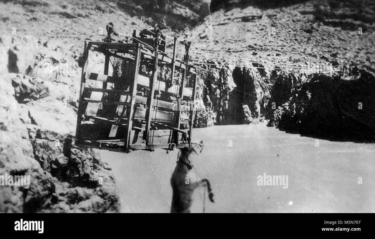 Grand Canyon bassi storico sentieri traghetto sul Fiume . BASS traghetto la rottura del cavo. Ambrogio significa Cavallo pendenti da funivia gabbia. Il cavallo ha vissuto. CIRCA 1917. Foto Stock