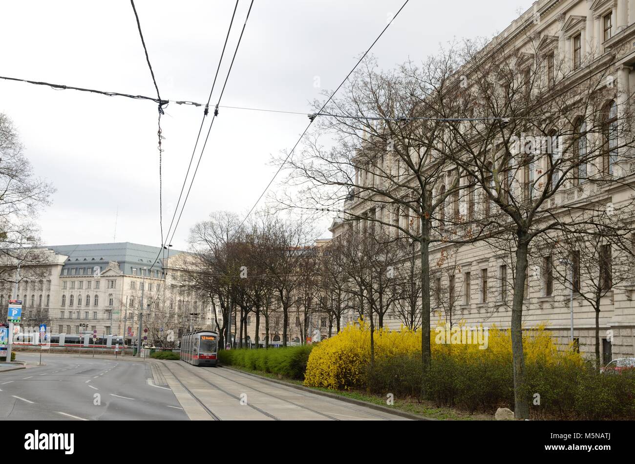 I tram in strada di Vienna, Austria. Foto Stock