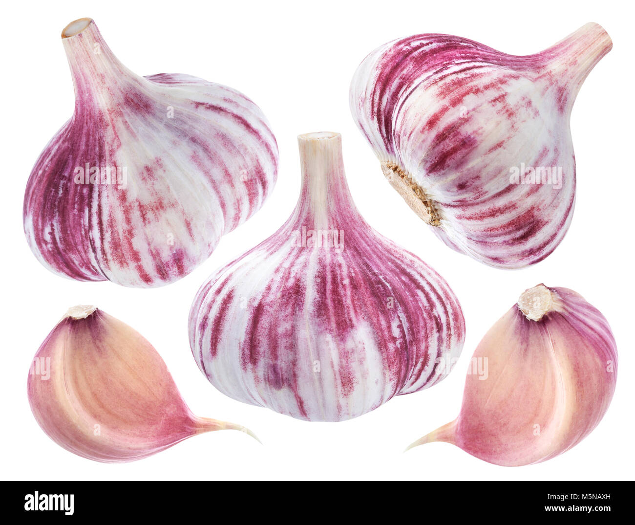 Aglio Rosso isolato su sfondo bianco Foto Stock