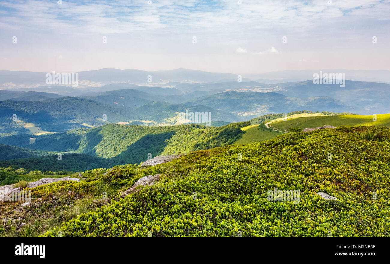 Splendido paesaggio delle montagne dei Carpazi. collina di rotolamento con enormi massi tra il verde del prato in summrtime Foto Stock