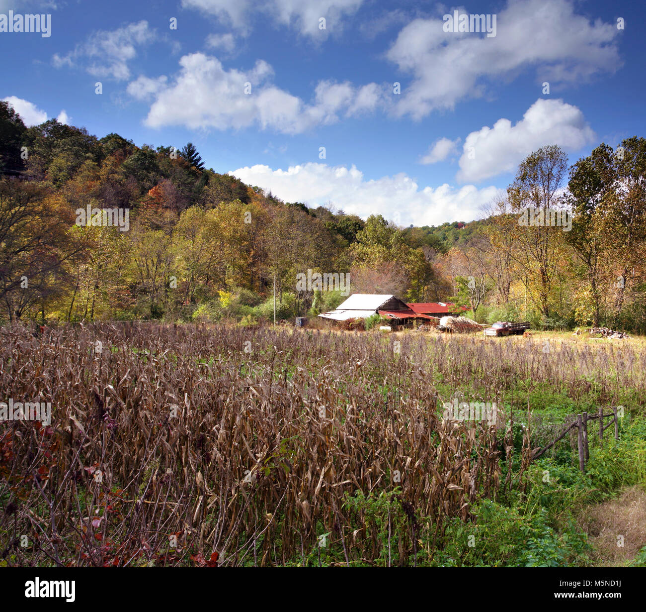 Una vista di caduta della Georgia campagna vicino a Blairsville, Macon County, GEORGIA, STATI UNITI D'AMERICA Foto Stock