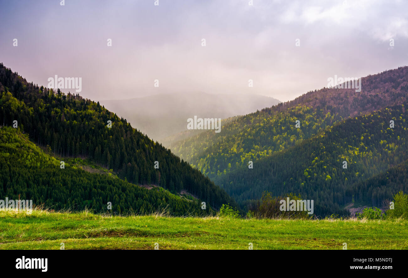 Le montagne su un nuvoloso giorno di primavera. bellissimo paesaggio naturale di colline boscose Foto Stock