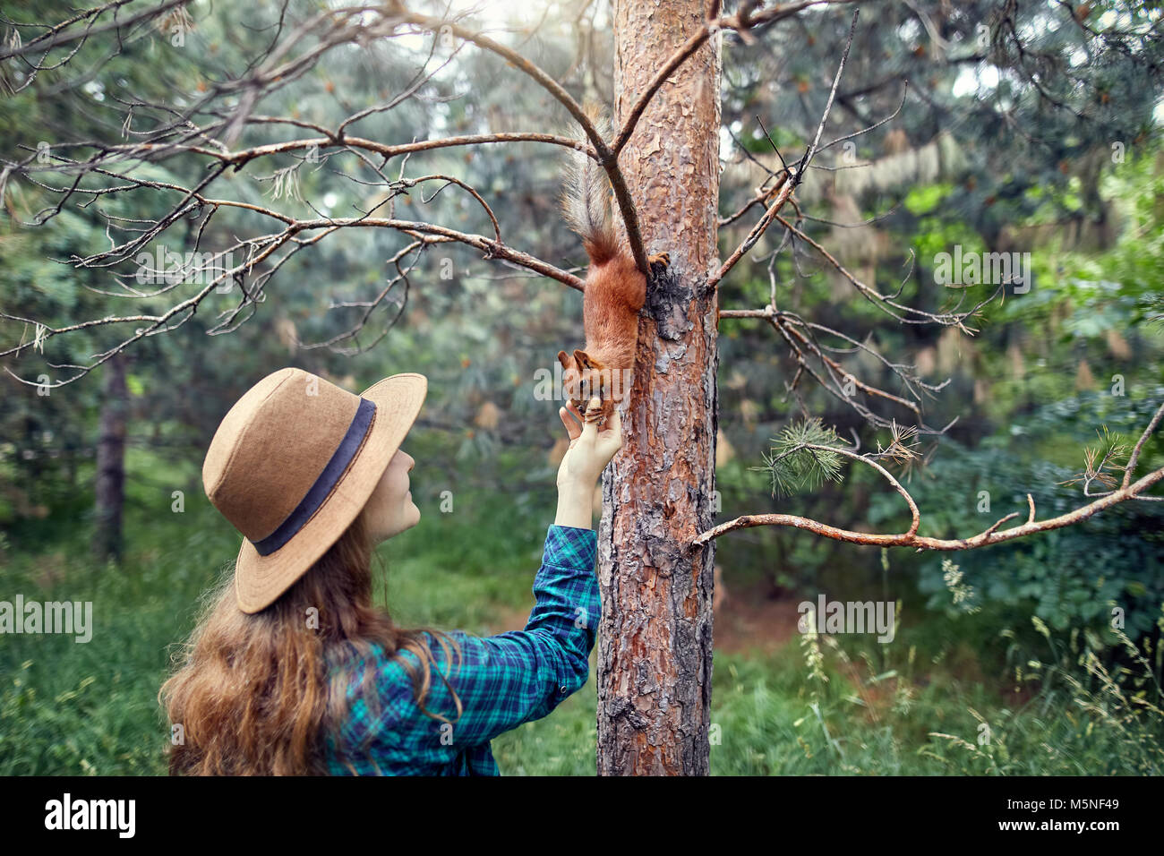 Giovane donna in hat con capelli lunghi alimentazione scoiattolo divertenti in pineta Foto Stock