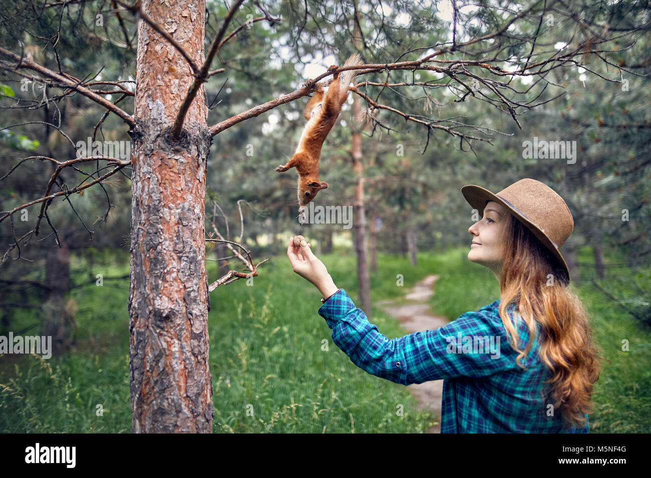 Giovane donna in hat con capelli lunghi alimentazione scoiattolo divertenti in pineta Foto Stock