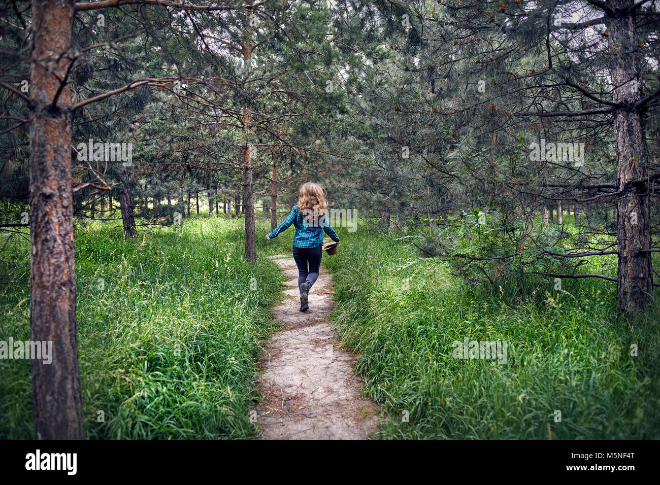 Giovane donna in verde controllato shirt con capelli lunghi in esecuzione sul percorso nella foresta di pini con il cappello in mano Foto Stock