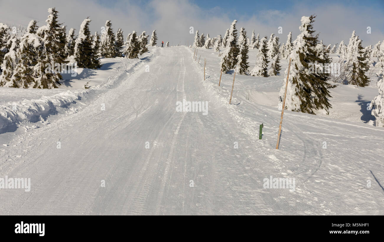 Incantevole paesaggio invernale Krkonos in una giornata di sole. In inverno le creste delle montagne di Krkonose. Alberi coperti di brina. Repubblica ceca Foto Stock