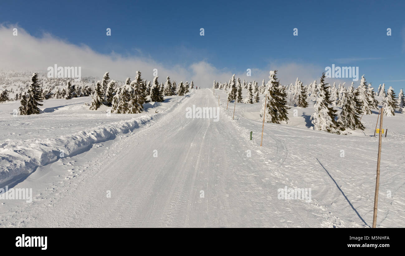 Incantevole paesaggio invernale Krkonos in una giornata di sole. In inverno le creste delle montagne di Krkonose. Alberi coperti di brina. Repubblica ceca Foto Stock