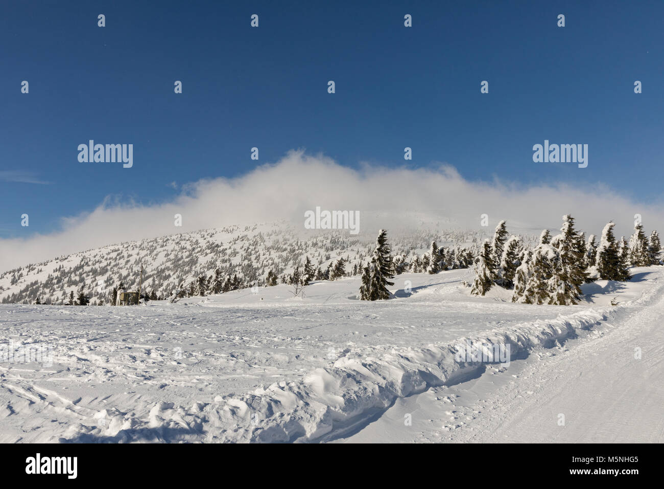 Incantevole paesaggio invernale Krkonos in una giornata di sole. In inverno le creste delle montagne di Krkonose. Alberi coperti di brina. Repubblica ceca Foto Stock
