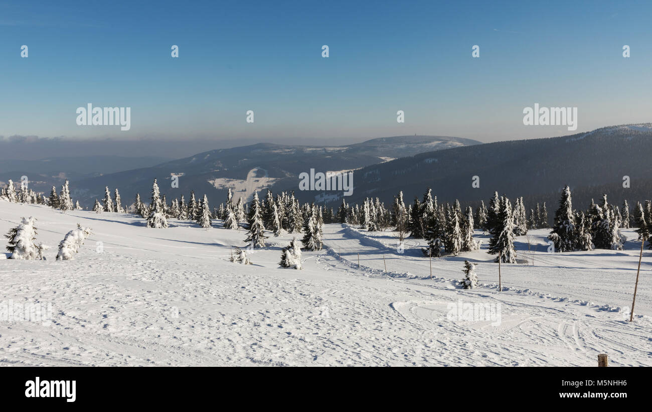 Incantevole paesaggio invernale Krkonos in una giornata di sole. In inverno le creste delle montagne di Krkonose. Alberi coperti di brina. Repubblica ceca Foto Stock