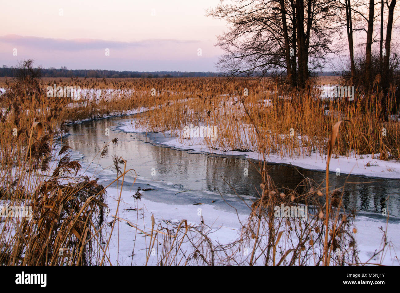 Paesaggio invernale con il fiume, albero tramonto Foto Stock