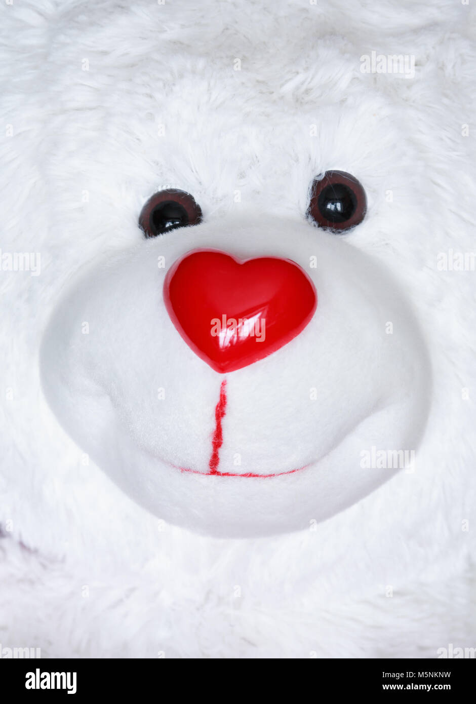 Extreme closeup Orsacchiotto bianco ritratto con naso rosso come cuore Foto Stock
