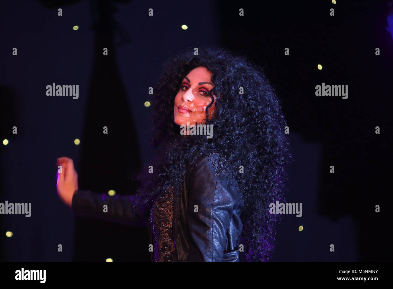 Tania alboni eseguendo i suoi Cher tributo atto durante la Ultimate Tribute Show a minatori Swillington Welfare Club a Leeds Foto Stock