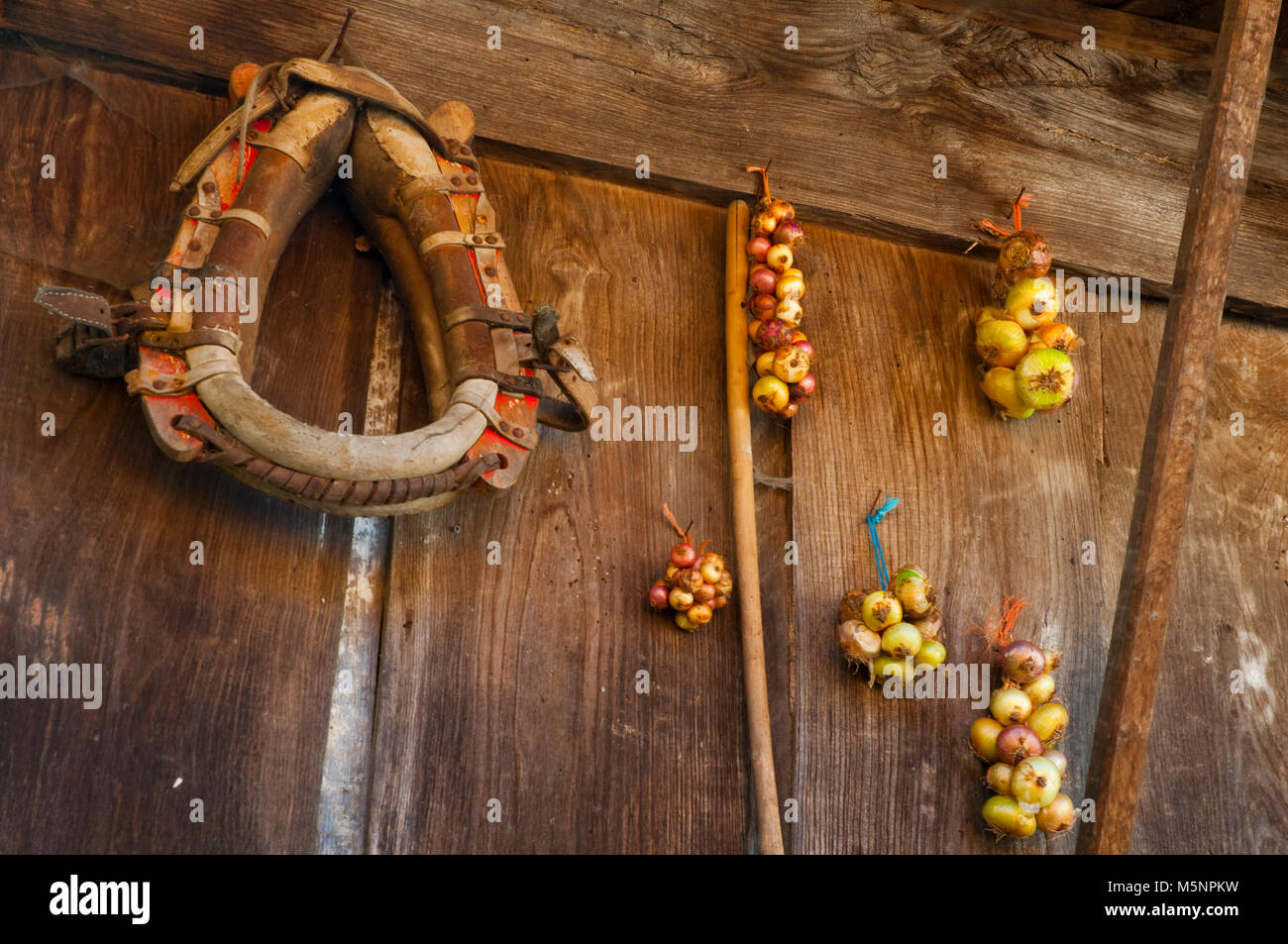 Cipolle e bretella appendere su un horreo. Espinaredo, Asturias, Spagna. Foto Stock