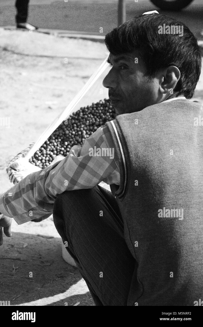Un uomo di mezza età cercando di vendere berry sul lato strada, chandigarh, India. Foto Stock