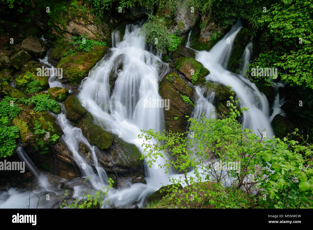 I font del Llobregat cascata in Llobregat fiume molla in-Cadí Moixeró parco naturale, Pirenei, Catalogna, Spagna Foto Stock