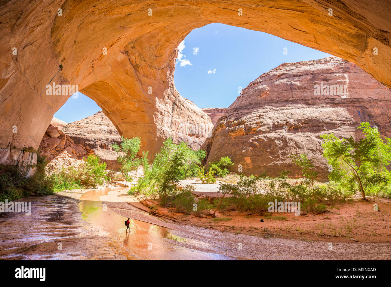Ampio angolo di visione di un escursionista backpacking sotto splendide Jacob Hamblin Arch in Coyote Gulch, la grande scala - Escalante monumento nazionale, Utah, Stati Uniti d'America Foto Stock