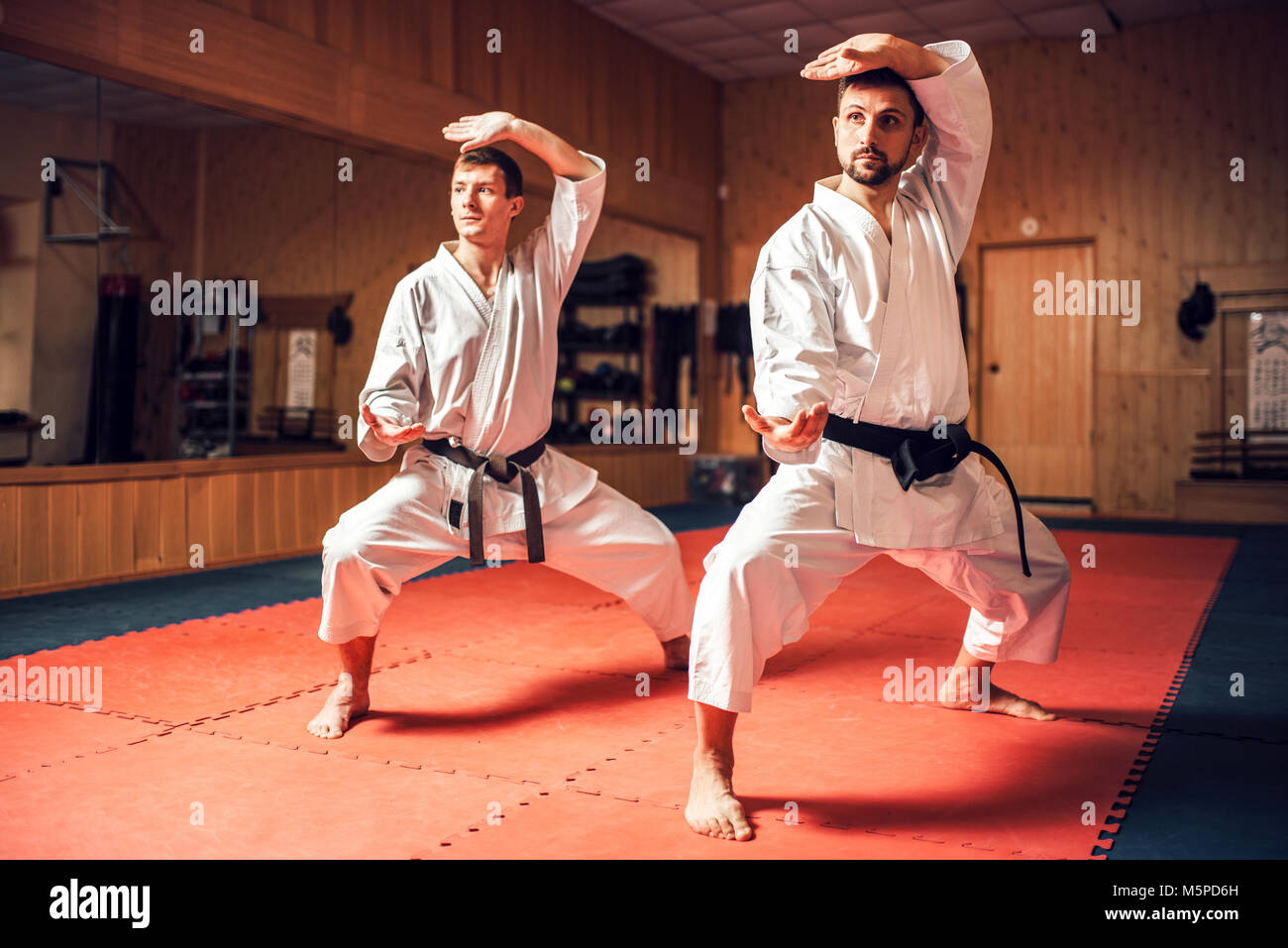 Arti marziali maestri di Karate in bianco uniforme e cinture nere di  formazione di abilità di combattimento. Sport allenamento in palestra Foto  stock - Alamy