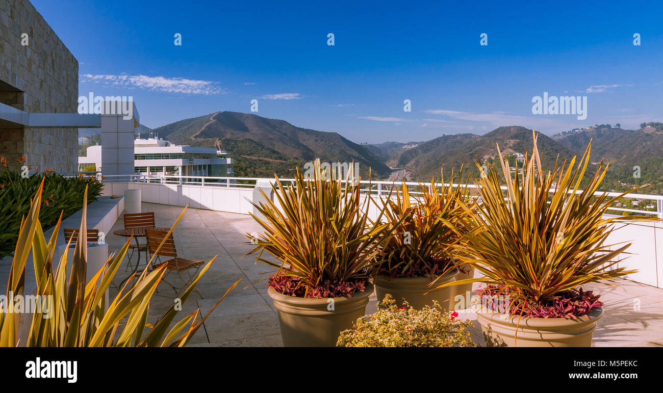 Piante sulla terrazza vicino al Padiglione Est al Getty Center, Brentwood, Los Angeles California Foto Stock