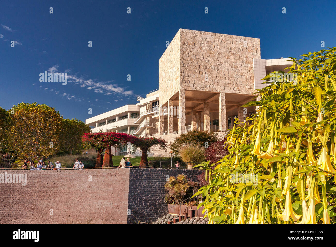 Golden brugmansia telaio il Getty Center padiglione espositivo ,Brentwood Los Angeles California Foto Stock