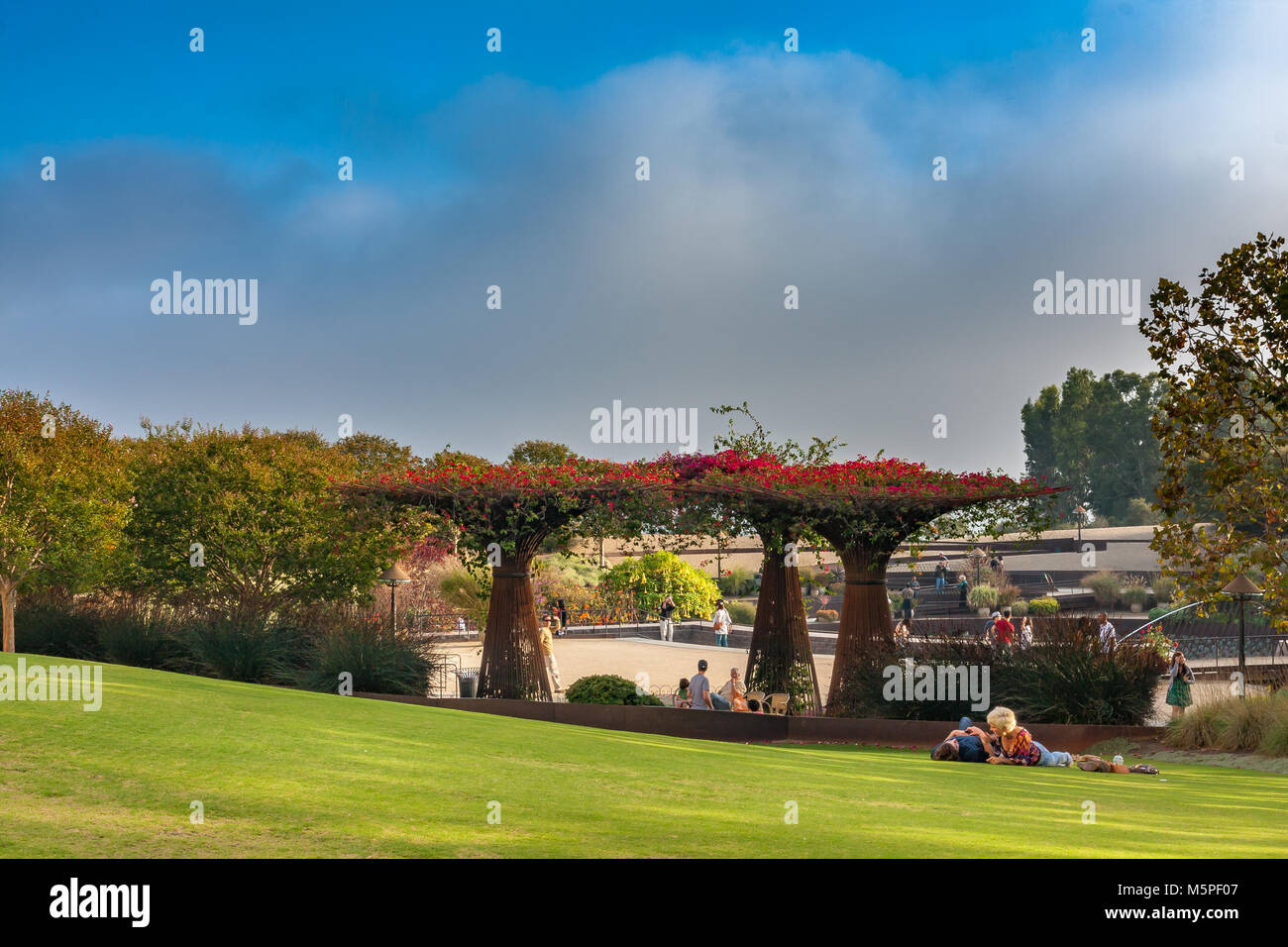 Un giovane giacciono sul prato accanto a La Bouganville mandrini presso il Central Garden Plaza presso il Getty Center ,Brentwood , Los Angeles California Foto Stock